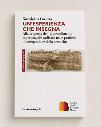 UN’ESPERIENZA CHE INSEGNA