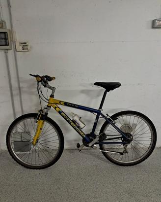 Bici Bottecchia 