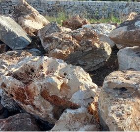 Sassi per giardino roccioso