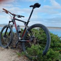 Bici mtb