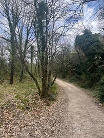 Terreno agricolo con rudere rurale Chianni (PI)