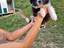 Immagine 10