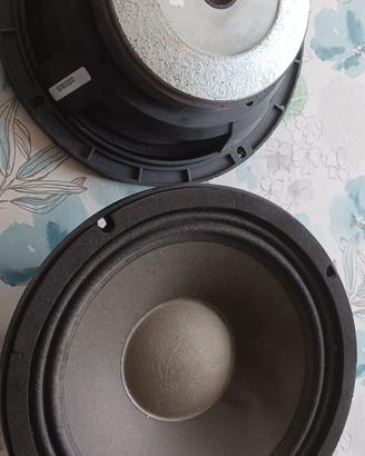 Coni audio professionali 