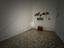 Immagine 11