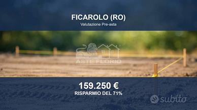 Immobile in asta di 36113 m² a Ficarolo