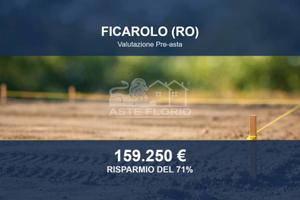 Immobile in asta di 36113 m² a Ficarolo
