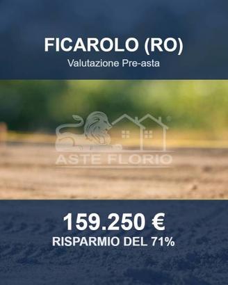 Immobile in asta di 36113 m² a Ficarolo