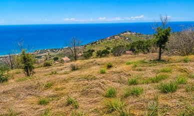 Cefalù terreno agricolo panoramico