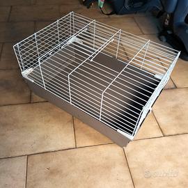 Gabbia per roditori e trasportino