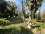 Immagine 15
