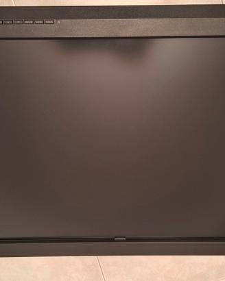EIZO ColorEdge CX241 24'' monitor professionale