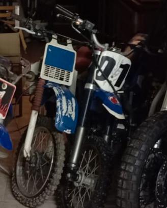 Grizzly 12 pit bike 125