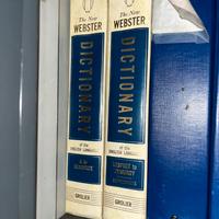 New Webster Dictionary
