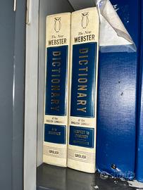 New Webster Dictionary