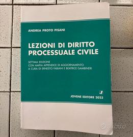 Lezioni di diritto processuale civile