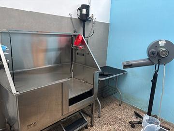 Toelettatura cani e gatti