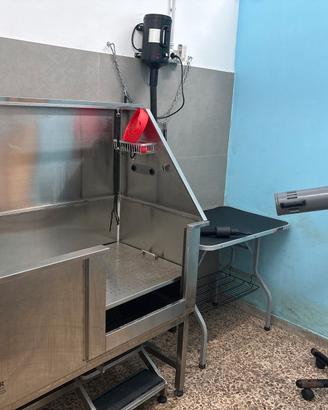 Toelettatura cani e gatti