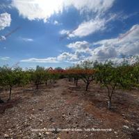 Terreno, Santa Flavia.