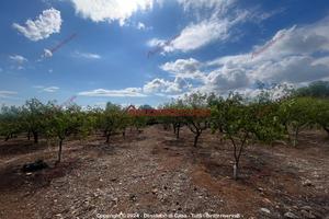 Terreno, Santa Flavia.