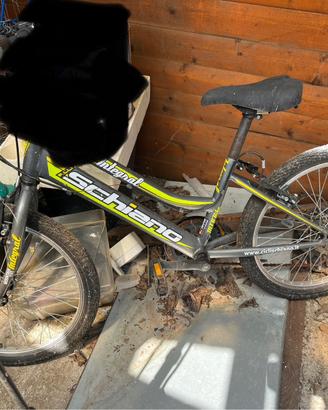 Bici bambino