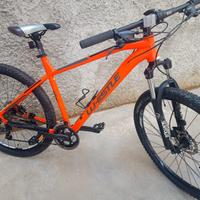 MTB DA 29 MARCA WHISTLE  TELAIO  IN ALLUMINIO