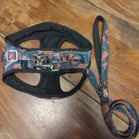 Pettorina e guinzaglio Ferribiella