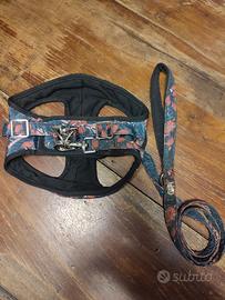 Pettorina e guinzaglio Ferribiella