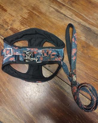 Pettorina e guinzaglio Ferribiella