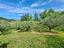 Immagine 9