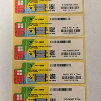 Licenza Windows 10 e 11 Professional