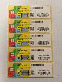 Licenza Windows 10 e 11 Professional