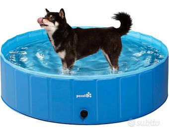 Piscina rigida