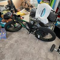Fat bike