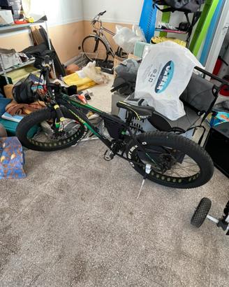 Fat bike
