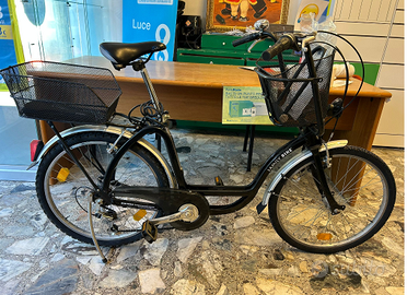Bicicletta Family Bike con cambio, a Cremona