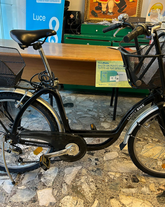 Bicicletta Family Bike con cambio, a Cremona