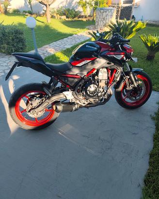 Kawasaki z650 2024 a2