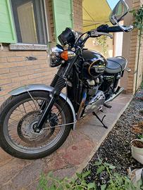Bonneville t 100