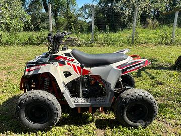MINI QUAD APOLLO MINI COMMANDER  110 CC