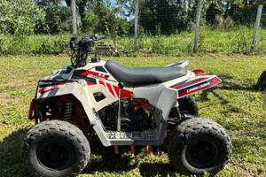 MINI QUAD APOLLO MINI COMMANDER  110 CC