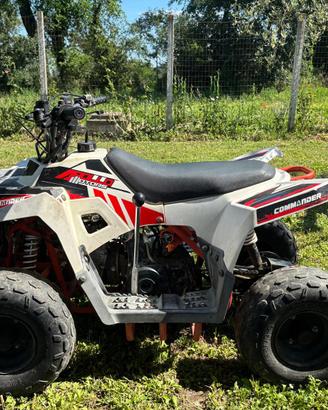 MINI QUAD APOLLO MINI COMMANDER  110 CC