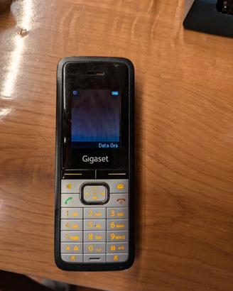 cordless siemes sl610 pro seminuovi