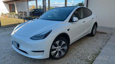 Tesla Model Y Long Range AWD - Autopilot Avanzato