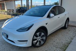 Tesla Model Y Long Range AWD - Autopilot Avanzato