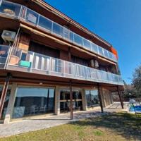 R.G.E. 280/2024 Tribunale Verona