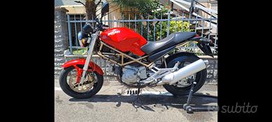 Ducati monster