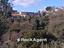 Immagine 26