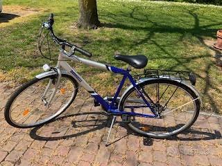 Bicicletta uomo Doniselli 28 pollici