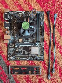 Scheda madre Asus H110M-C/D520MT microATX+ i5 6400