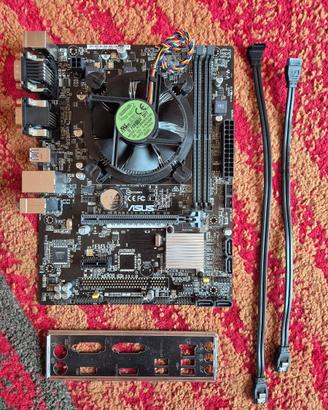 Scheda madre Asus H110M-C/D520MT microATX+ i5 6400